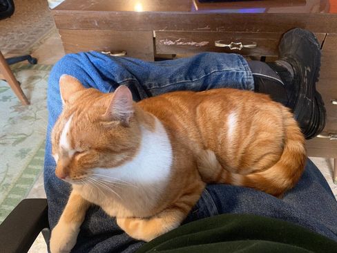 Used 2010 Ford F150 Lariat image 17