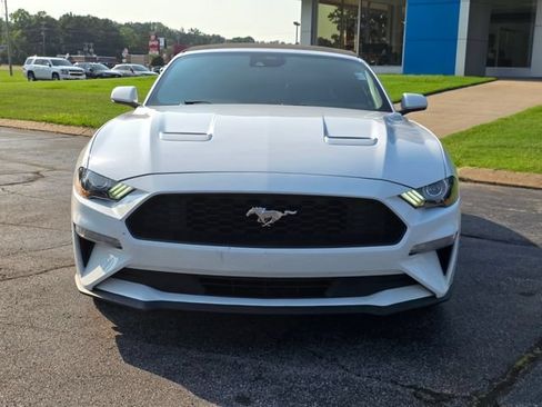 Used 2023 Ford Mustang Premium RWD image 4