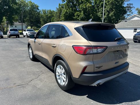 Used 2020 Ford Escape SE AWD/4WD image 5