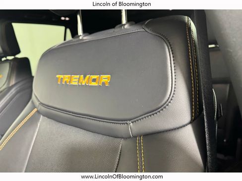 Used 2025 Ford Expedition Tremor AWD/4WD image 51