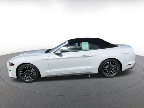 Used 2023 Ford Mustang Premium image 9