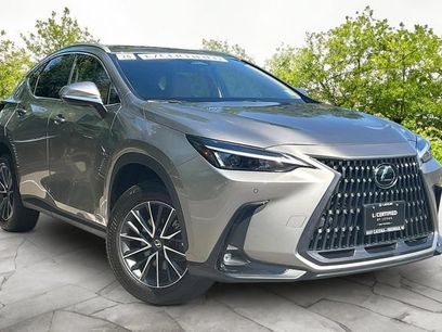 Certified 2026 Lexus NX 350 AWD w/ Cold Area Package