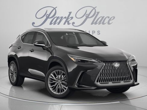 Used 2025 Lexus NX 350 AWD w/ Accessory Package (2T) image 10