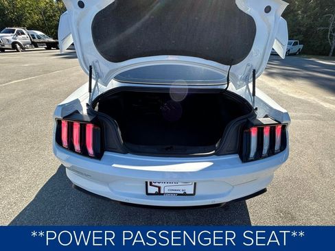 Used 2023 Ford Mustang GT Premium w/ Equipment Group 401A image 9