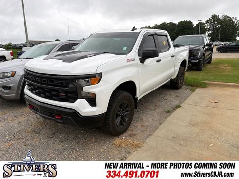 Used 2024 Chevrolet Silverado 1500 Custom Trail Boss AWD/4WD image 3