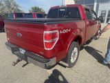 Used 2010 Ford F150 XL image 3