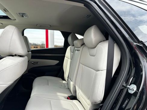 Used 2023 Hyundai Tucson SEL w/ Convenience Package image 11