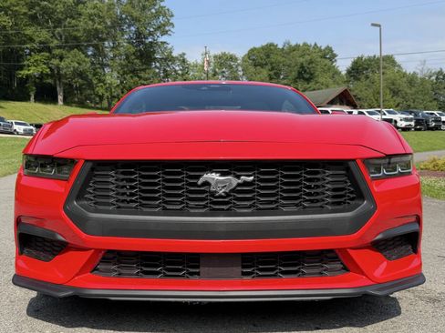 Used 2024 Ford Mustang Premium w/ 2.3L High Performance Package RWD image 3