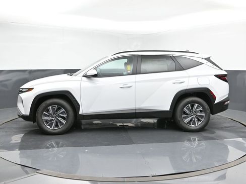Used 2024 Hyundai Tucson Blue image 2