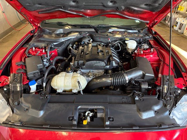 Used 2020 Ford Mustang Coupe w/ Black Accent Package RWD image 8