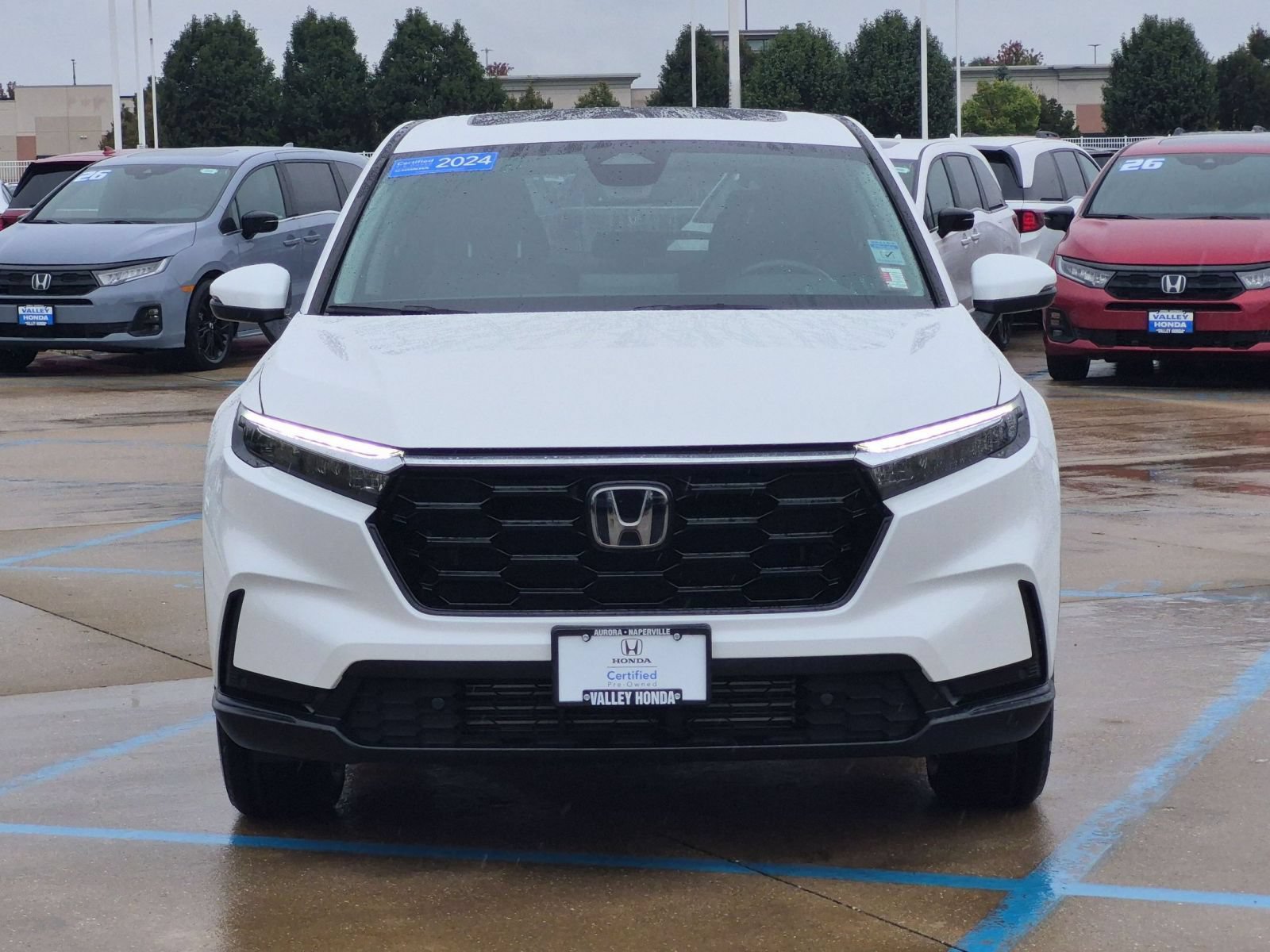 Certified 2024 Honda CR-V EX-L image 4