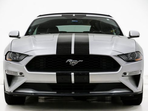 Used 2019 Ford Mustang Premium image 3