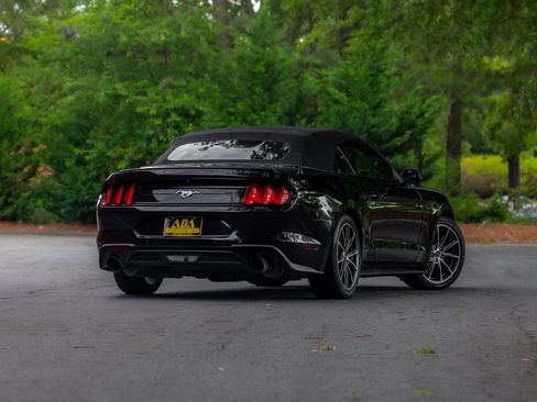 Used 2019 Ford Mustang Premium w/ Equipment Group 201A RWD image 8