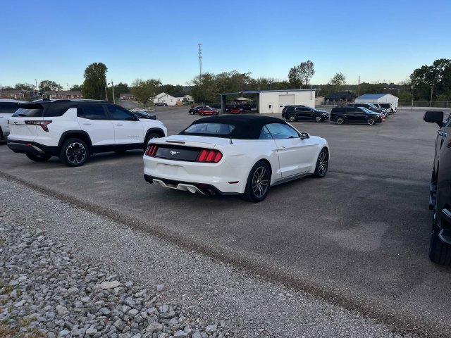 Used 2017 Ford Mustang Premium RWD image 2