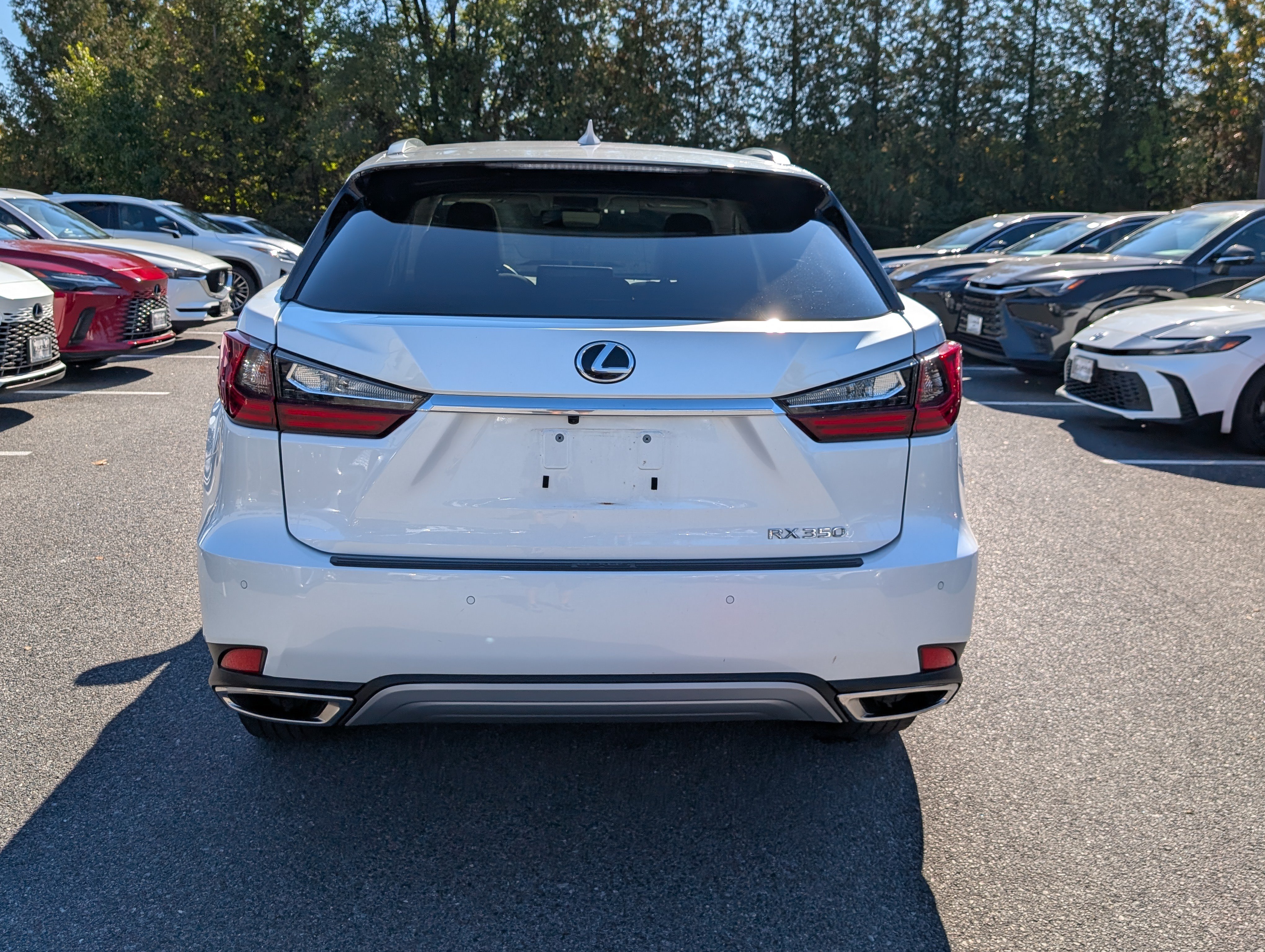 Used 2021 Lexus RX 350 AWD w/ Premium Package image 4