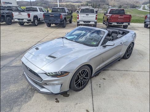 Used 2021 Ford Mustang Premium image 14