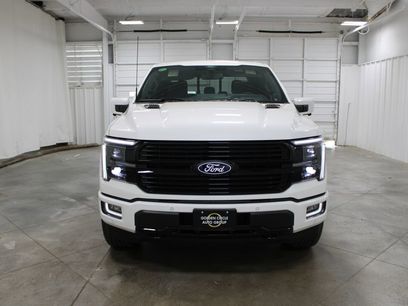 New 2026 Ford F150 Platinum