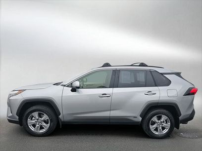 Certified 2025 Toyota RAV4 XLE w/ Convenience Package