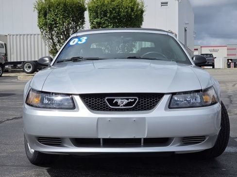 Used 2003 Ford Mustang Convertible RWD image 5