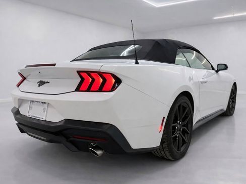 Used 2026 Ford Mustang Premium image 3