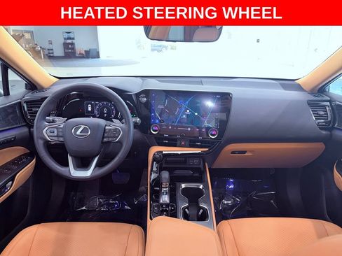 Certified 2025 Lexus NX 250 FWD w/ Cold Area Package image 14