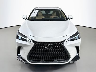 Used 2025 Lexus NX 350 AWD w/ Cold Area Package