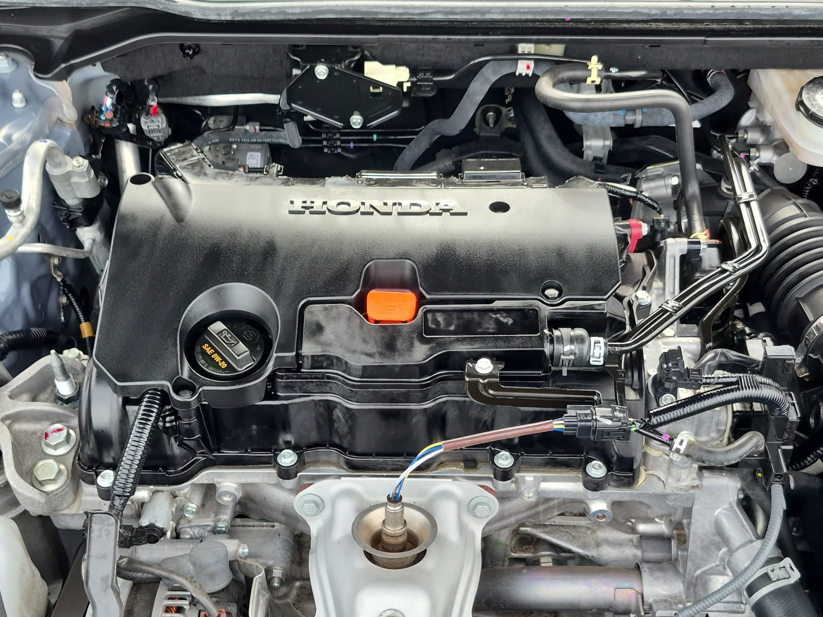 Certified 2024 Honda Civic Sport image 22