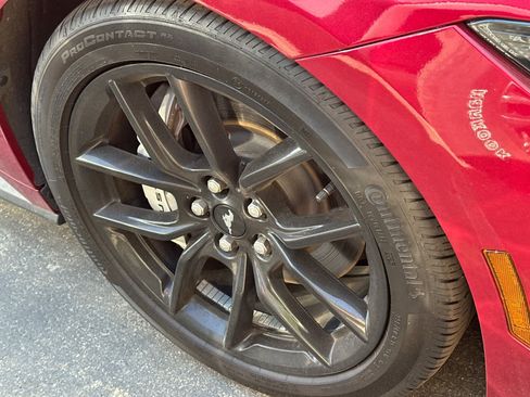 Used 2025 Ford Mustang GT w/ Mustang Nite Pony Package RWD image 3