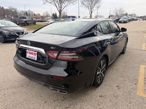 Used 2020 Nissan Maxima 3.5 SV w/ Floor Mat Group image 5
