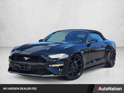 Used 2019 Ford Mustang Premium w/ Ecoboost Performance Package