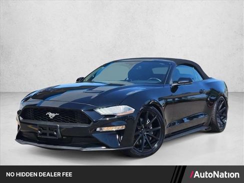 Used 2019 Ford Mustang Premium w/ Ecoboost Performance Package RWD image 1