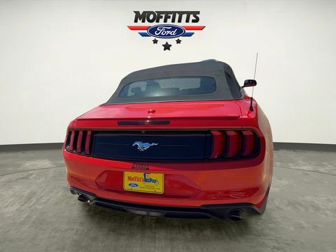 Used 2019 Ford Mustang Premium w/ Equipment Group 201A RWD image 4