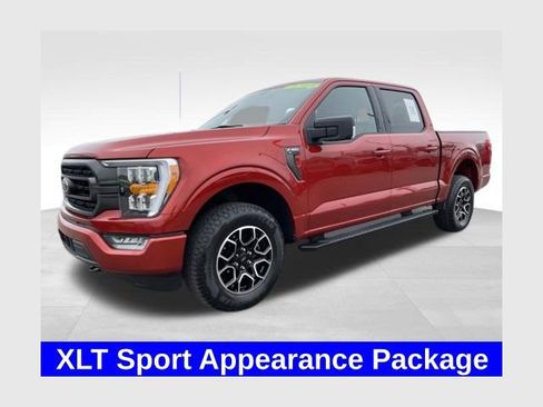 Used 2023 Ford F150 XLT w/ Equipment Group 302A High AWD/4WD image 1