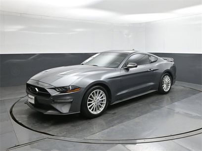 Used 2023 Ford Mustang Coupe w/ Equipment Group 101A