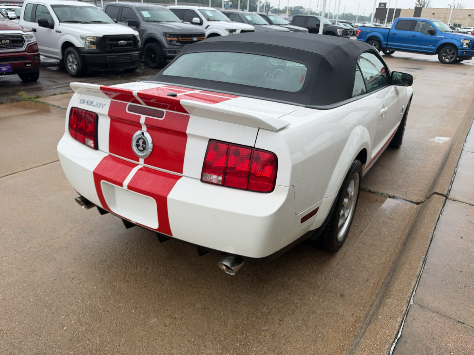 Used 2008 Ford Mustang Shelby GT500 RWD image 6