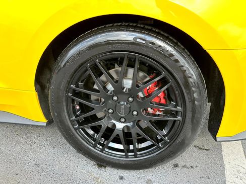 Used 2016 Ford Mustang GT Premium w/ Equipment Group 401A image 10