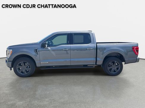 Used 2023 Ford F150 XLT w/ Equipment Group 302A High AWD/4WD image 8