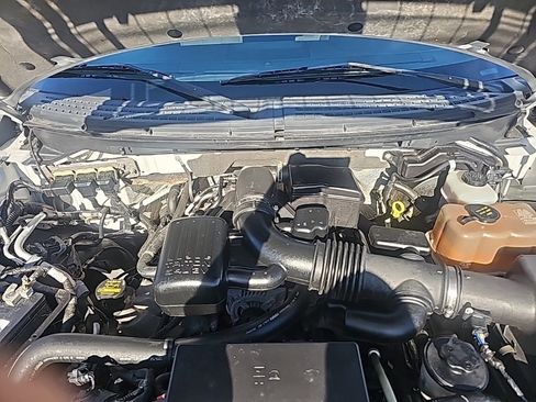 Used 2010 Ford F150 FX4 image 9