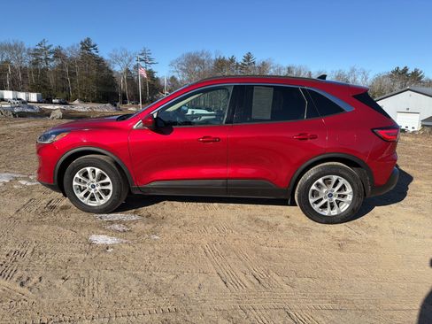 Used 2020 Ford Escape SE image 4