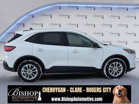 Used 2022 Ford Escape SE w/ Cold Weather Package image 15