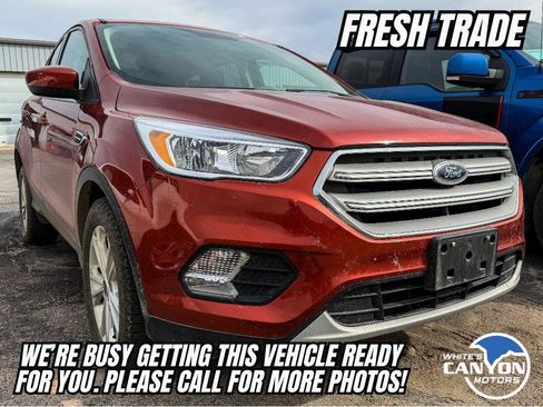 Used 2019 Ford Escape SE image 1