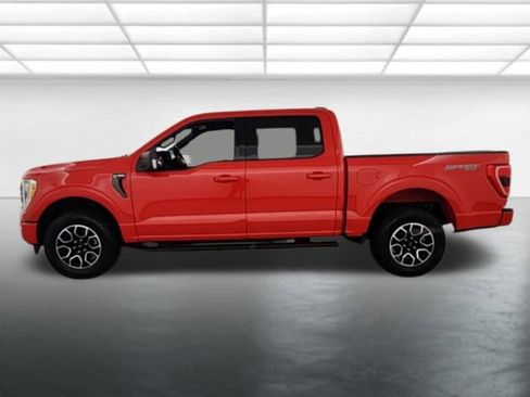 Used 2023 Ford F150 XLT w/ Equipment Group 302A High AWD/4WD image 5
