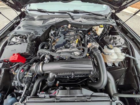 Certified 2024 Ford Mustang Premium image 9