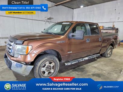 Used 2011 Ford F150 XLT