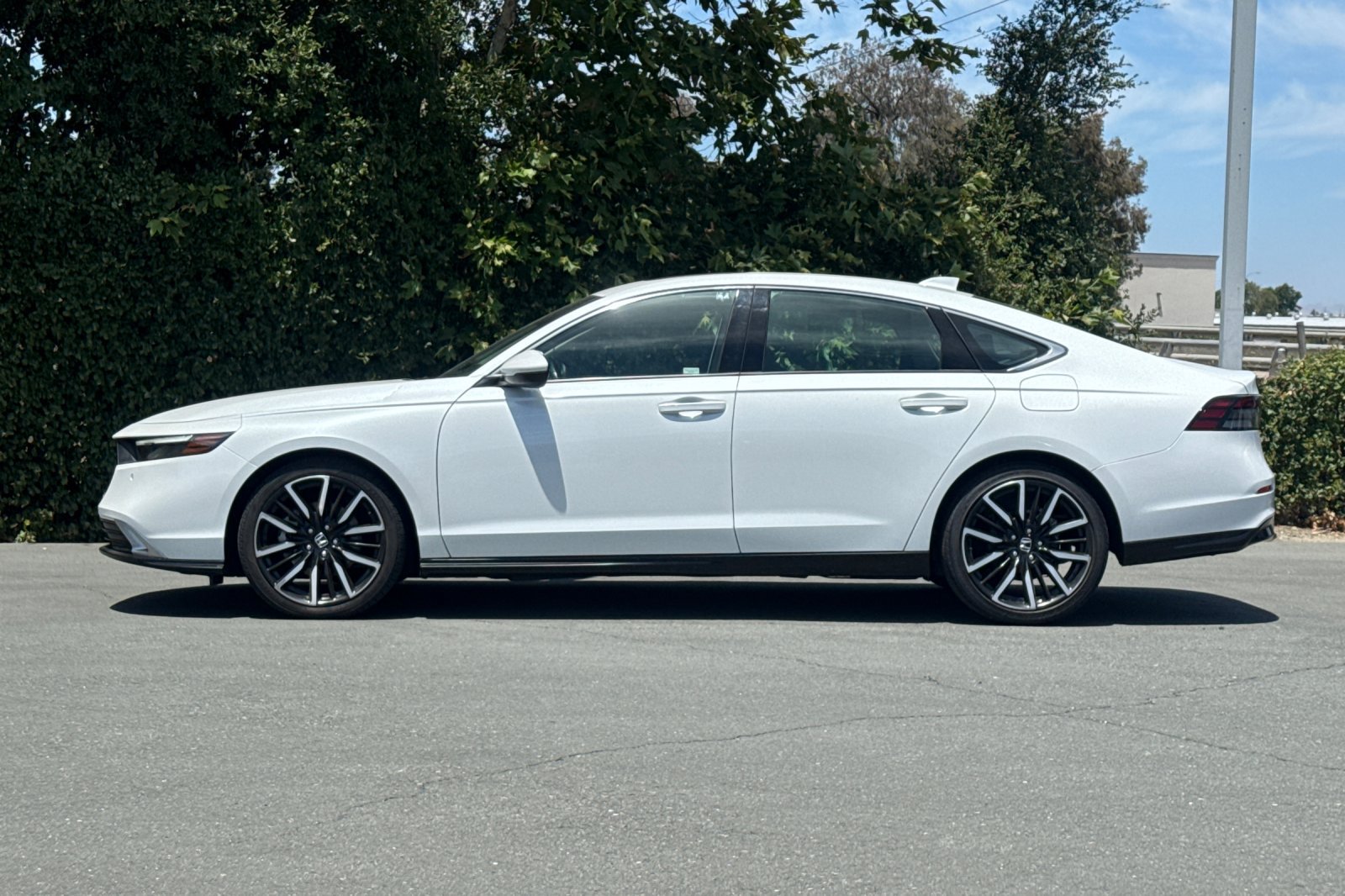 Used 2024 Honda Accord Touring image 7