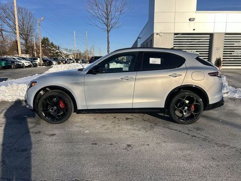 New 2026 Alfa Romeo Stelvio Sprint image 5