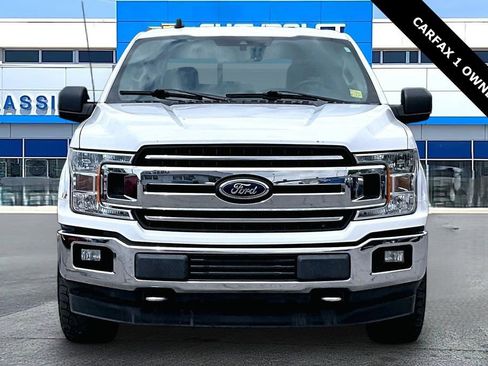 Used 2019 Ford F150 XLT w/ Equipment Group 302A Luxury AWD/4WD image 2