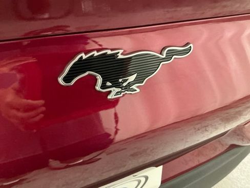 Used 2025 Ford Mustang Mach-E Premium RWD image 5