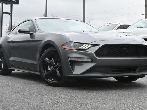 Used 2022 Ford Mustang Coupe w/ Equipment Group 101A image 2