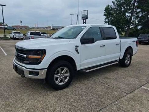 Used 2025 Ford F150 XLT w/ Equipment Group 301A Standard AWD/4WD image 4